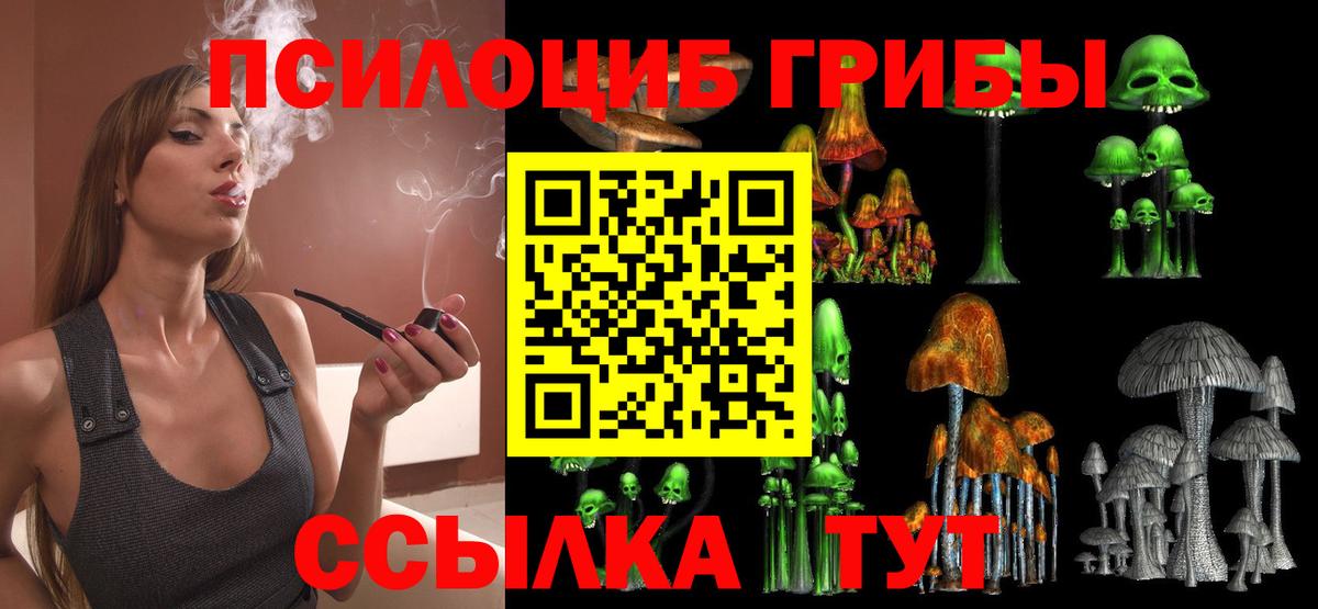 даркнет сайт  Галлюциногенные грибы мухоморы  Вход с VPN  Галлюциногенные грибы Cubensis  Великий Устюг 